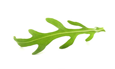 Leaf of fresh arugula on white background