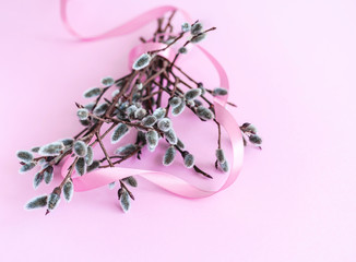 Easter decoration of pussy willow with a pink ribbon on pastel pink background. Top view.