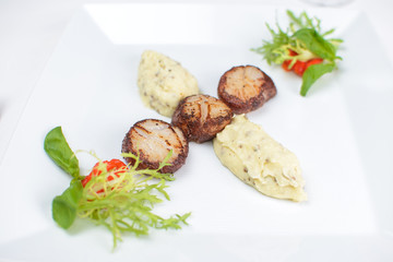 grilled scallops with celery puree and vegetables. on a white plate