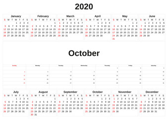 2020 a monthly calendar  with white background.