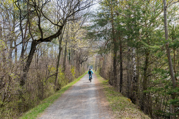 Fototapeta premium sporty woman riding a bicycle along a dirt path through a beautiful spring time colorful forest