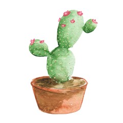 Hand drawn watercolor cactus in a pot isolated on white background. Cute illustration.