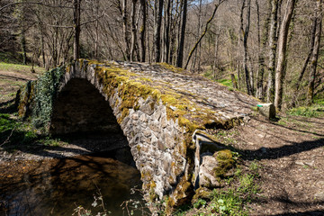 le petit pont de pierre
