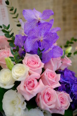 Macro view of colorful blue white yellow pink orange green purple rose flower bouquet in full blossom