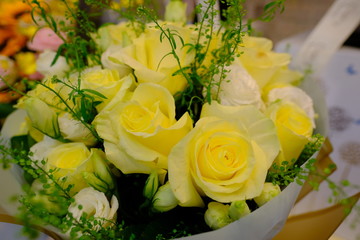 Macro view of colorful blue white yellow pink orange green purple rose flower bouquet in full blossom