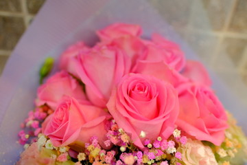 Macro view of colorful blue white yellow pink orange green purple rose flower bouquet in full blossom