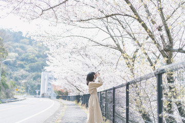 桜とカメラ女子