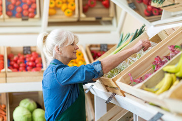 Senior woman working in small grocery store