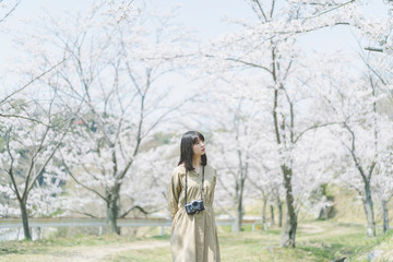 桜とカメラ女子