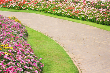 Landscaped garden background , concrete walkway , green grass and colorful ornamental flowers blooming,