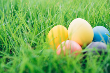 Easter egg on garden grass background,
