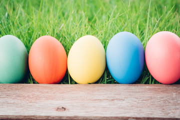 Easter egg on wooden garden grass background, happy easter day concept