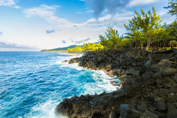 Nature and volcanic rocks in the south coast of Reunion Island