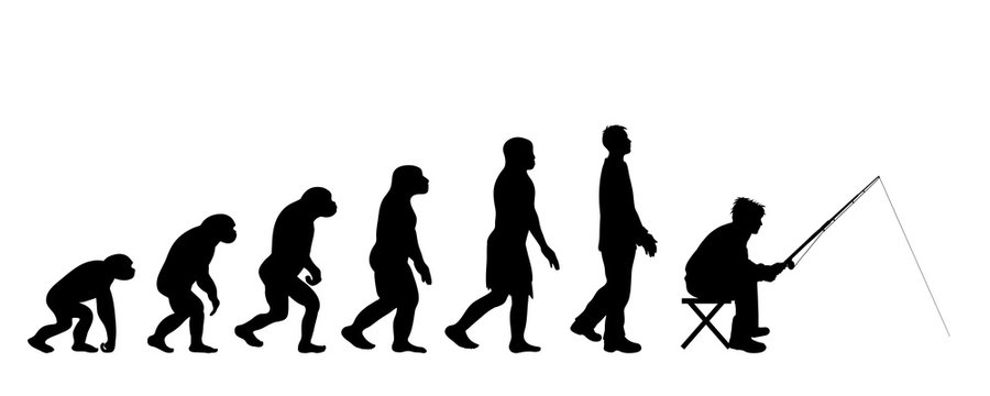 Painted theory of evolution of man. Vector silhouette of homo sapiens. Symbol from monkey to fisherman.