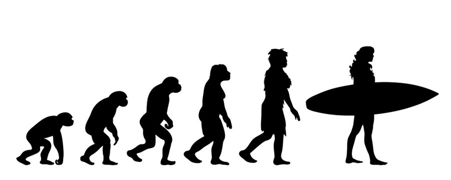 Painted theory of evolution of woman. Vector silhouette of homo sapiens. Symbol from monkey to surfer.