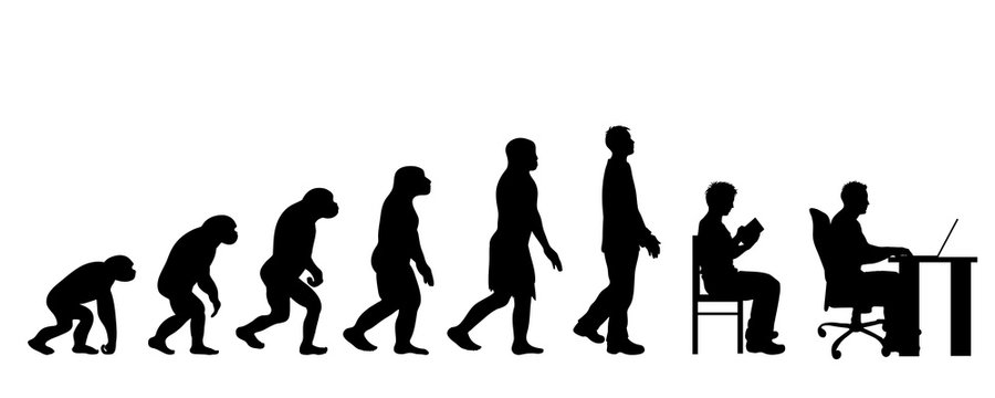 Painted theory of evolution of man. Vector silhouette of homo sapiens. Symbol from monkey to businessman.