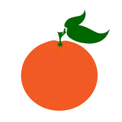 Vector illustration of painted orange on white background. Symbol of fruit, food,vegetarian,vegan.