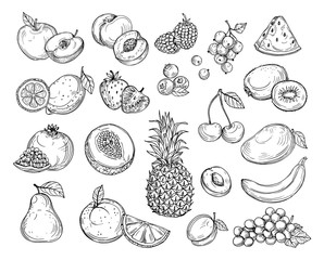 Sketch fruits. Strawberry melon, peach mango. Banana pineapple, raspberry grapes hand drawn fruit berry vector set. Illustration of melon and banana, cherry and lemon - obrazy, fototapety, plakaty