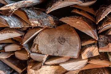 Stacks of firewood.