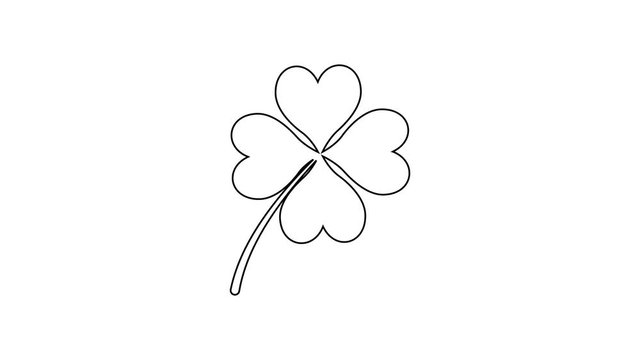 Grey Four leaf clover line icon on white background. Happy Saint Patrick day. 4K Video motion graphic animation