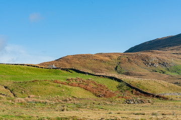 Beautiful nature scene around Connemara National Park