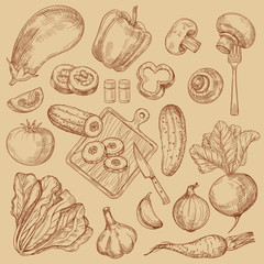 Organic fresh vegetables hand drawn sketch collection. Vector organic fresh vegetable, drawing tomato and eggplant