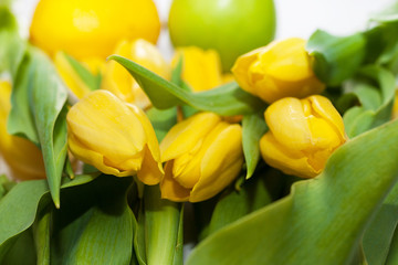 Fototapeta premium bouquet of fresh yellow tulips on white background