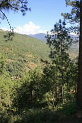 Bhutanese landscapes 