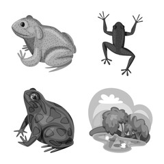 Vector design of wild and nature symbol. Collection of wild and bog vector icon for stock.