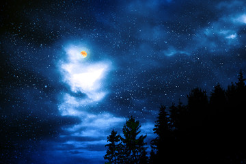 Fototapeta na wymiar Colorful night sky with many stars above of trees silhouette.