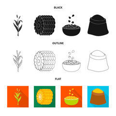 Vector illustration of cornfield and vegetable logo. Set of cornfield and vegetarian stock symbol for web.