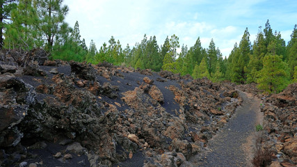 Volcanic path through the rough arid landscape of Chinyero Special Natural Reserve, a lava territory with scarce vegetation and visible traces of the last eruption in Tenerife, Canary Islands, Spain