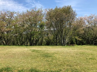 高いところにある公園