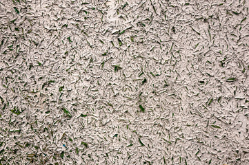 Flaked white paint