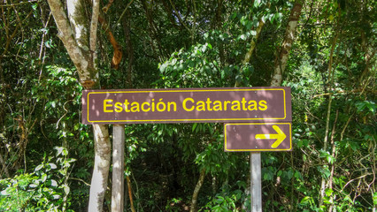 Fototapeta premium Iguazu waterfalls. One of the nature miracles in Argentina and Brasil