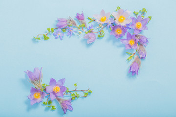 beautiful spring flowers on blue background