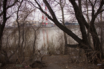 Fototapeta premium river