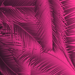 Pink Palm Leaves. Exotic Plants of Coconut. Trendy Branches Set. Vector Tropical Foliage. Botanical Illustration of Jungle Leaf. Pink Palm Leaves for Pattern, Print, Fabric, Textile or Trendy Design