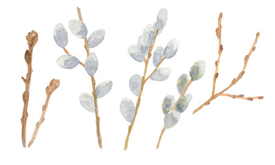 Set of handdrawn watercolor pussy-willow branches, springtime flowers and trees, isolated objects on the white background, floral clipart illustration for any design purposes