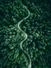 Deurstickers luchtfoto van een bos © Andrea