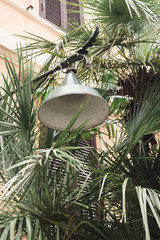 green street lamp is in the palm branches