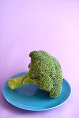Fresh brocoli on a blue plate on a purple background