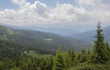 Trekking in the Carpathians through Petros to Hoverla along the Montenegrin ridge to Pop Ivan