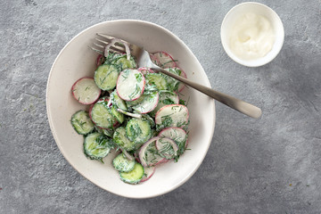 Salad bowl radish cucumber yogurt top view Healthy food