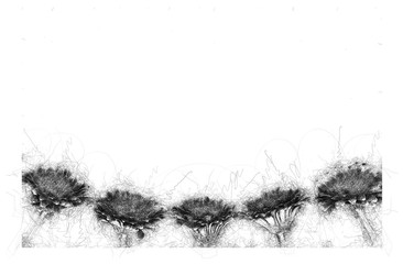 Gerbera flowers lie. Flat lay. Nature concept. Background for site design, landing page or blog. Black-and-white graphics for design. Set of hand drawn design elements. Collection of black ink