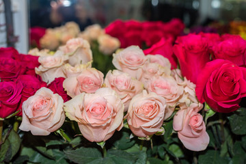 Pink roses in a flower shop.