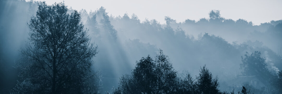 sun rays in the fog on a sunny morning. Web banner. © APHOTOSTUDIO