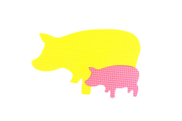 Image of colored Pig, toy on white background