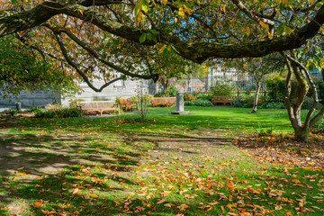 Beautiful scene around Trinity College