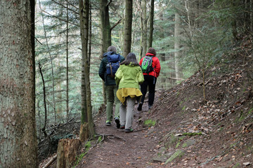 Zwei Frauen und ein Mann wandern